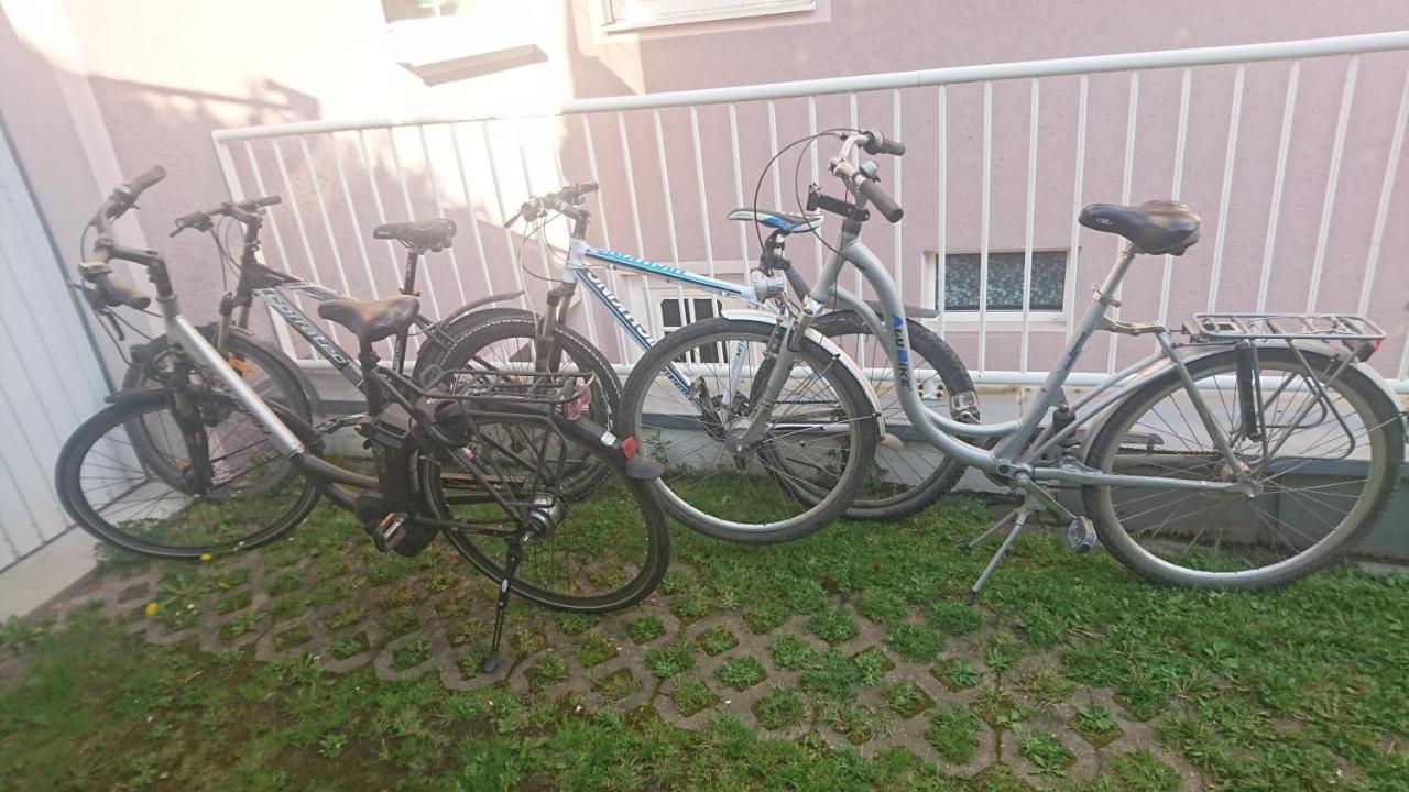 Ferienwohnung Lang Nittenau Екстер'єр фото